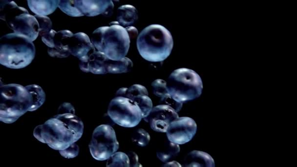 Delicious blueberries flying on a black background — Stock Video