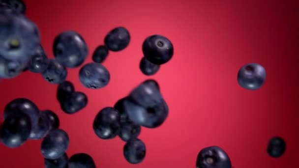 大きなブルーベリーが赤ワインの背景を飛んでいる — ストック動画