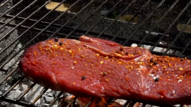 Le sel de mer tombe sur le steak d'agneau grillé — Video