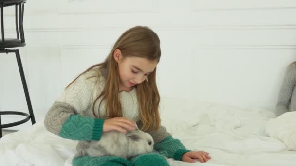 Chica feliz está acariciando un conejo gris esponjoso — Vídeo de stock