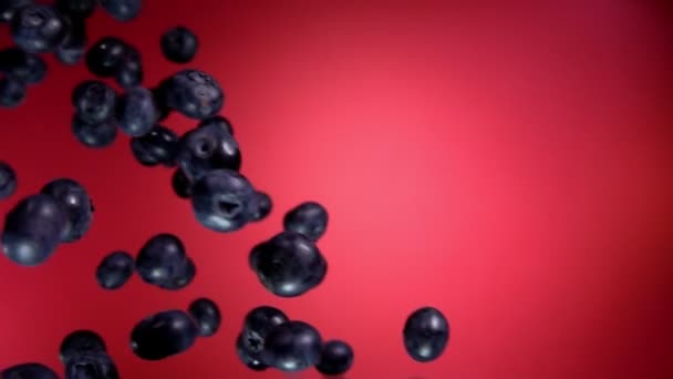 Big ripe blueberry flying on a wine red background — Stockvideo