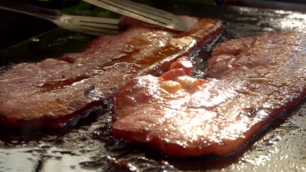 Pedaços de bacon frito estão virando na grelha — Vídeo de Stock