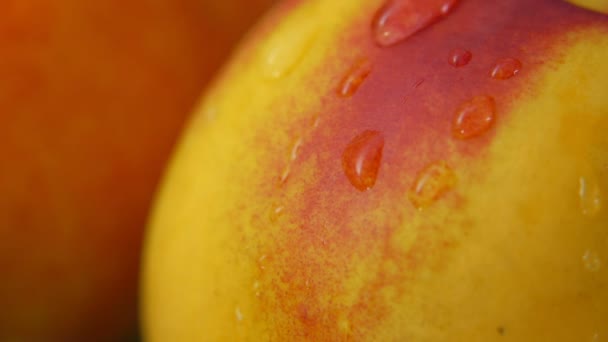 Gros plan de la surface nectarine avec une goutte d'eau qui descend lentement — Video