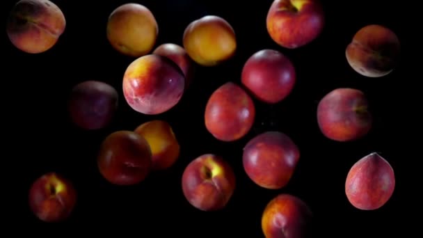 Wet peaches bounce with dropes of water on the black background — 图库视频影像