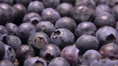 Olgun bir yaban mersinini böğürtlenlerin üzerinde yuvarla