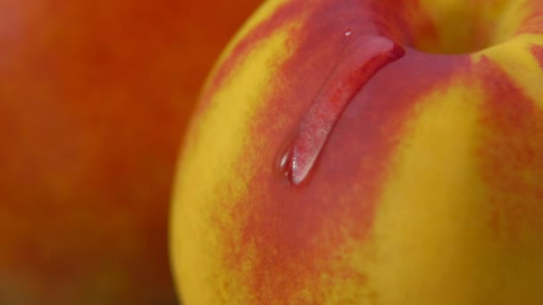Super närbild av nektarin yta med en droppe vatten — Stockvideo