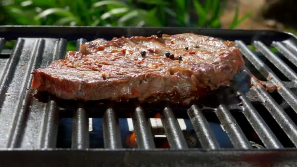Meat steak sprinkled with pepper frying on grill — Stock Video