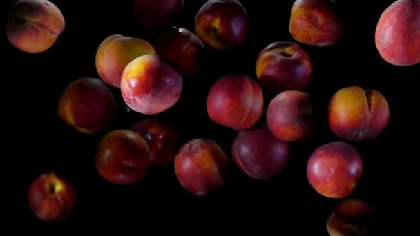Мокрі персики підстрибують на чорному тлі — стокове відео