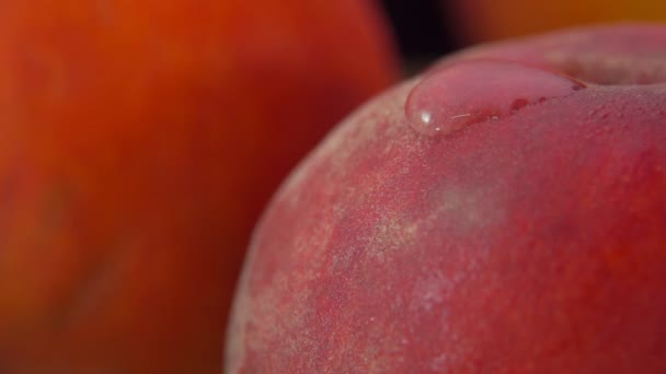 Super närbild av den röda persika yta med en droppe vatten — Stockvideo