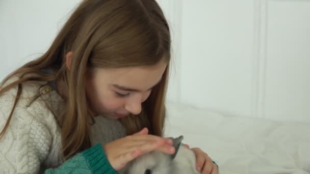 Mutlu güzel kız küçük sevimli bir tavşanı okşuyor. — Stok video