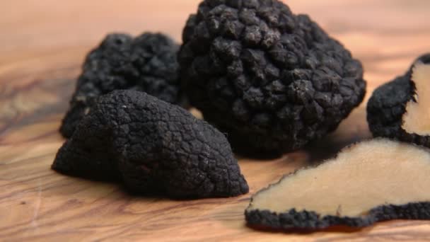 Panorama rapproché d'un rare champignon de truffe noire de luxe — Video