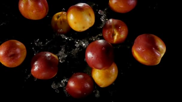 Nectarinas jugosas rebotan con salpicaduras de agua en el fondo negro — Vídeo de stock