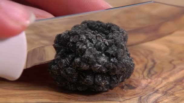 Knife cuts a rare black truffle mushroom on the wooden board — Stock Video