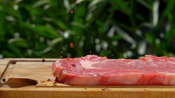 Pimienta mezclada y especias caen sobre una carne cruda — Vídeo de stock