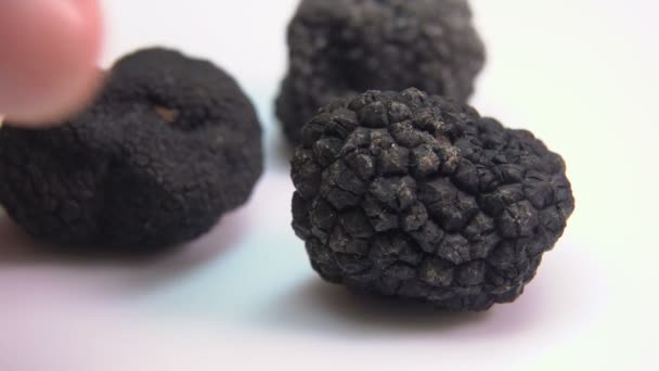 Hand prend un champignon à la truffe noire de la surface blanche — Video