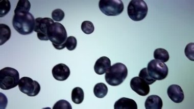 Big juicy blueberry flying on a white background
