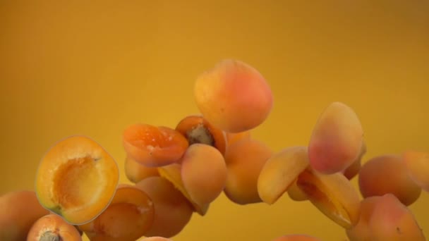Соковиті абрикосові половинки летять на жовтому тлі — стокове відео