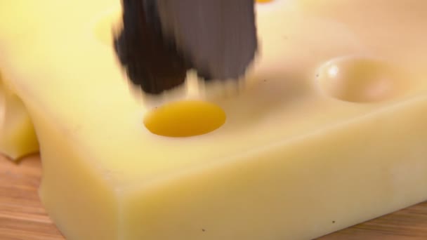 Slices of a black truffle mushroom are falling on the cheese with holes — Stock video