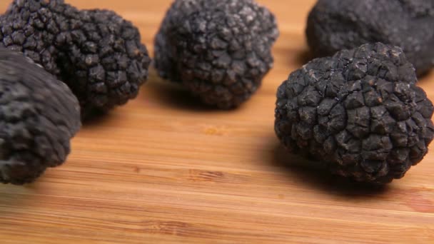 Rare black truffle mushroom rolling to the other mushrooms — Stock Video