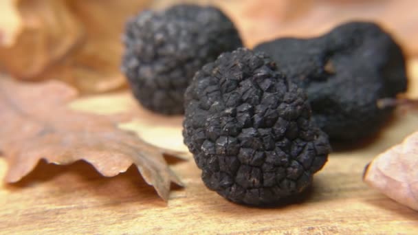 Panorama of a delicious rare black truffle mushroom on the wooden surface — Stockvideo