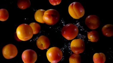 Delicious apricots are flying up with a water splashes on a black background