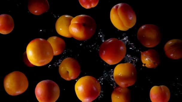 Смачні абрикоси літають з бризками води на чорному тлі — стокове відео