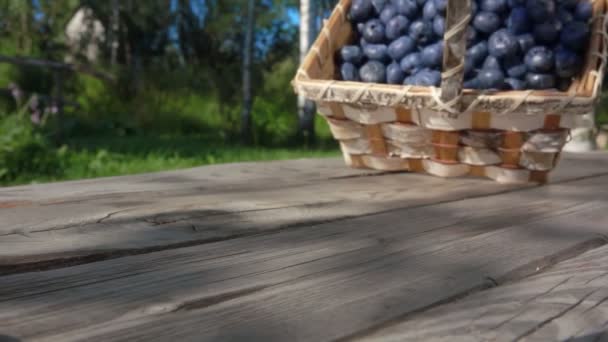 Large blueberries are falling from the basket onto a wooden table — Stok video