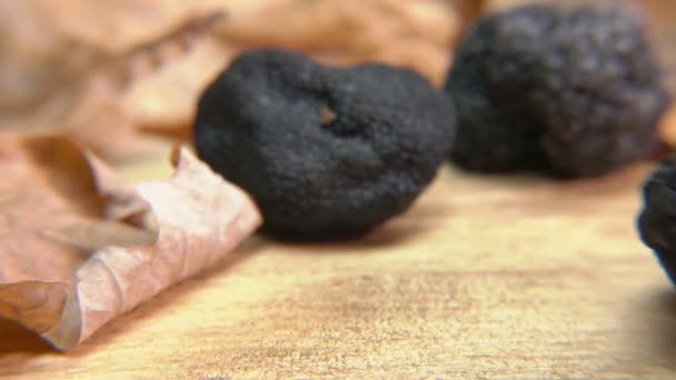 Close up of a rare black truffle mushroom rolling on the wooden surface — 图库视频影像