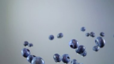 Juicy delicious blueberries are flying up on the white background