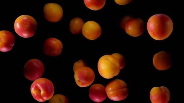 Delicious ripe apricots are flying up on a black background — Stock Video