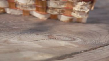 Büyük yaban mersinleriyle dolu bir sepeti kapat.