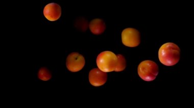 Sulu olgun kayısılar yavaş çekimde siyah bir arka planda uçuyor.