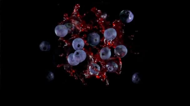 Big delicious blueberries are flying up with the splashes and dropes of juice — Wideo stockowe