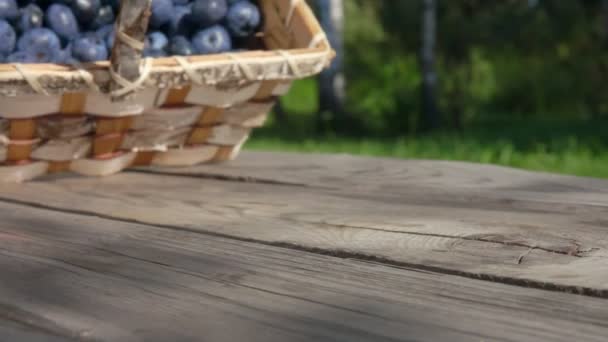 Blueberries are rolling on a wooden table towards the camera — Stockvideo