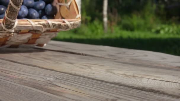 Primer plano de la cesta de abedul lleno de grandes arándanos que caen sobre una mesa de madera — Vídeo de stock