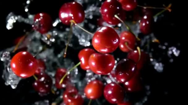 Cerezas rojas jugosas rebotan con salpicaduras de agua sobre un fondo negro — Vídeos de Stock