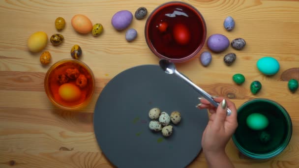 Hand puts quail eggs into bowls with coloring solution to dye them for Easter — Stock Video