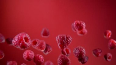 Raspberries are flying up and falling down on the red background in slow motion