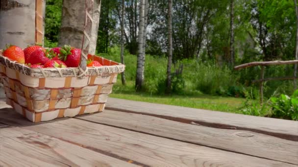 Birch basket full of red strawberries is falling on a wooden table outdoors — 비디오