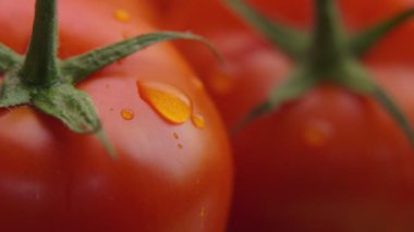Drop of water is flowing down the surface of ripe red juicy tomato