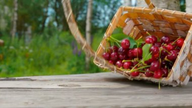 Basket full of ripe cherries falls on a wooden table