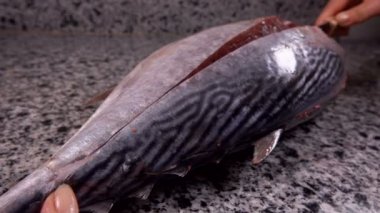 Hands cut a raw tuna fish on the fillet with knife