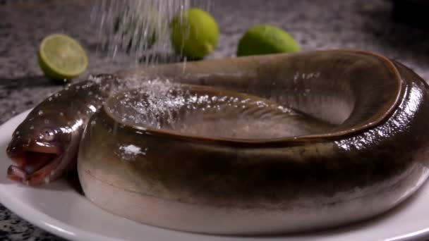 Sea salt is falling on the fresh eel on the grey stone table — Stockvideo