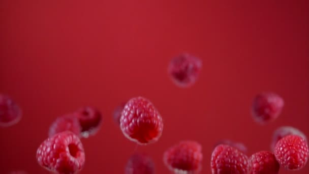Jugoso madura deliciosas frambuesas están volando sobre el fondo rojo — Vídeo de stock