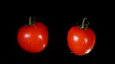 İki olgun kırmızı domates çarpışıyor ve su damlaları yükseliyor.