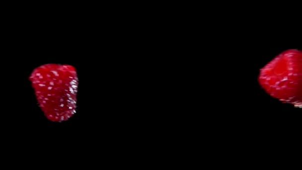 Two raspberries are colliding on the black background rising drops of water — Stock Video