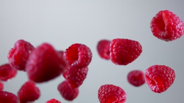 Красные спелые вкусные малины летят на белом фоне — стоковое видео
