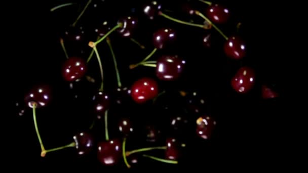 Juicy dark red cherries bounce up on a black background — Stock Video