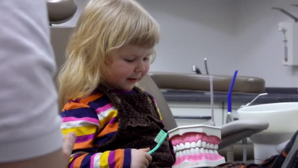 Маленькая девочка учится чистить зубы, играя с моделью челюсти — стоковое видео
