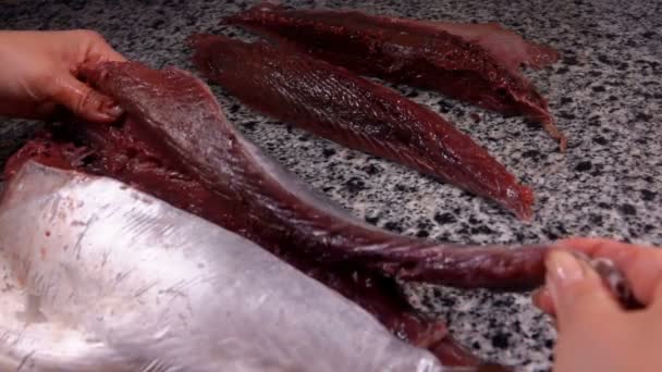 Pesce tonno crudo tagliato al filetto su un tavolo di pietra grigia — Video Stock